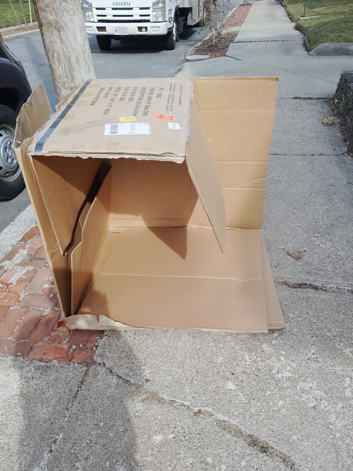 Junk Removal project photo