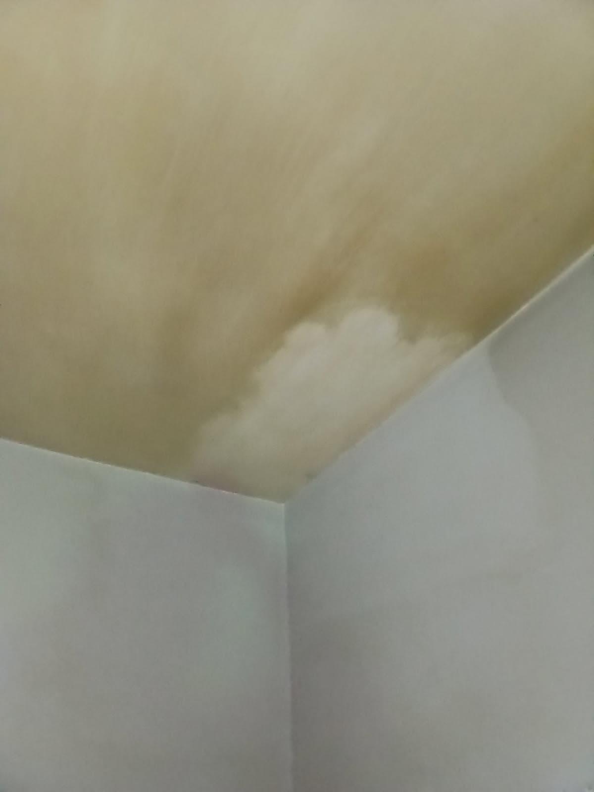 Painting project photo
