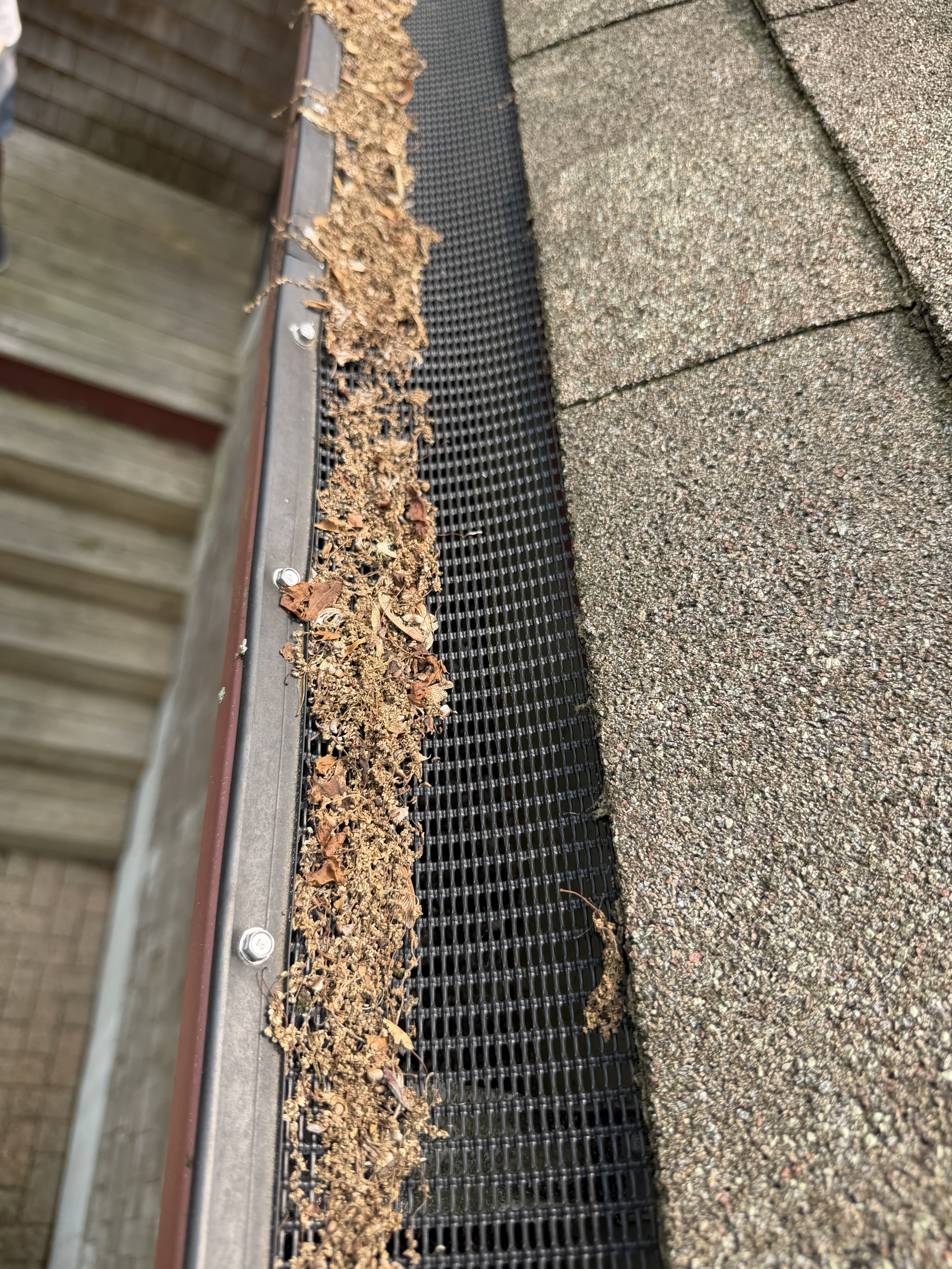 House Cleaning project photo